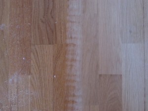 IMG_0005[1]