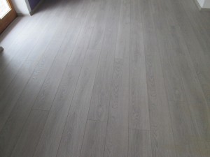 IMG_00291.jpg